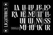 Micilage - Serif Display Typeface, a Serif Font by Comactype Foundry (Thumbnail 20 of 20)