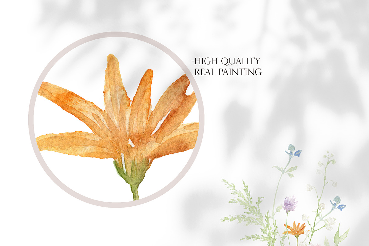 Watercolor AIRY WILDFLOWER Clipart, a Decorative Illustration by Beigetime (Photo 2 of 16)