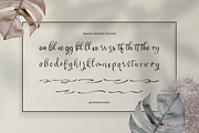 Cafricot Lissendra Script, a Script Font by gracetype_studio (Thumbnail 11 of 12)