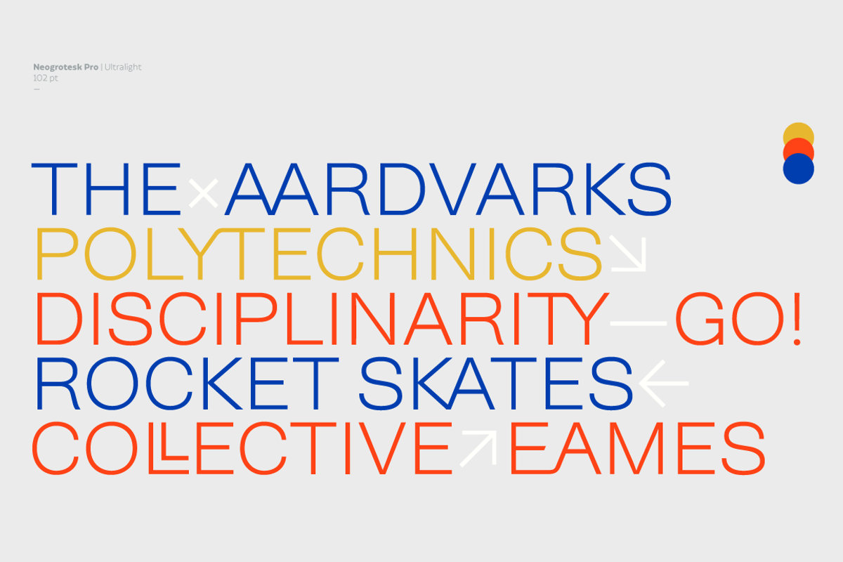 Neogrotesk, a Sans Serif Font by Los Andes Type (Photo 11 of 15)