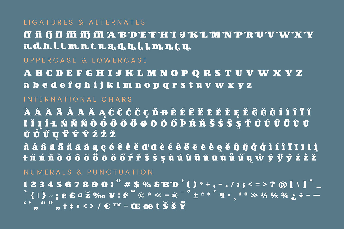 Jofjin Vikar Modern Serif Display, a Serif Font by timelesstype.co (Photo 19 of 20)