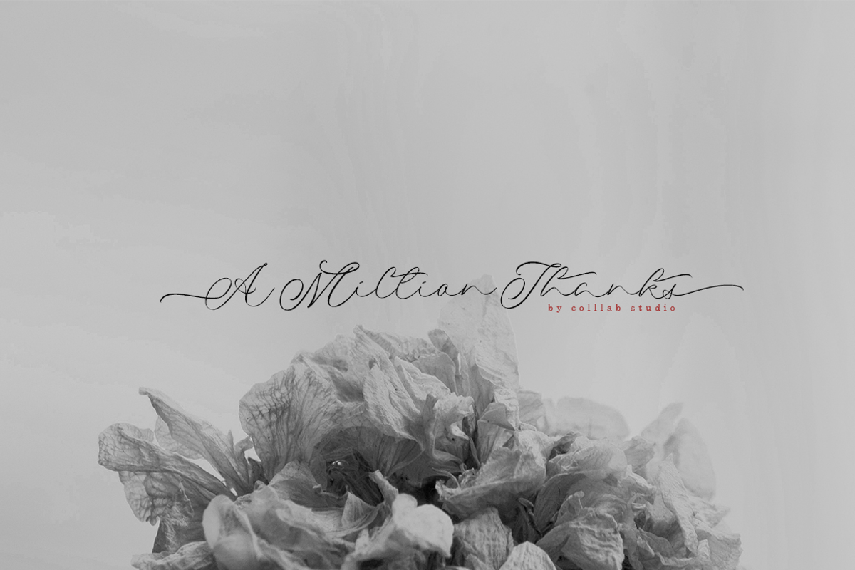 Wedding Couple, a Script Font by Colllab Studio (Photo 19 of 19)