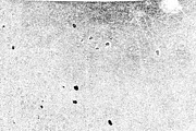 GSTC - Stone bench textures, a Texture Graphic by The Shop (Thumbnail 51 of 80)