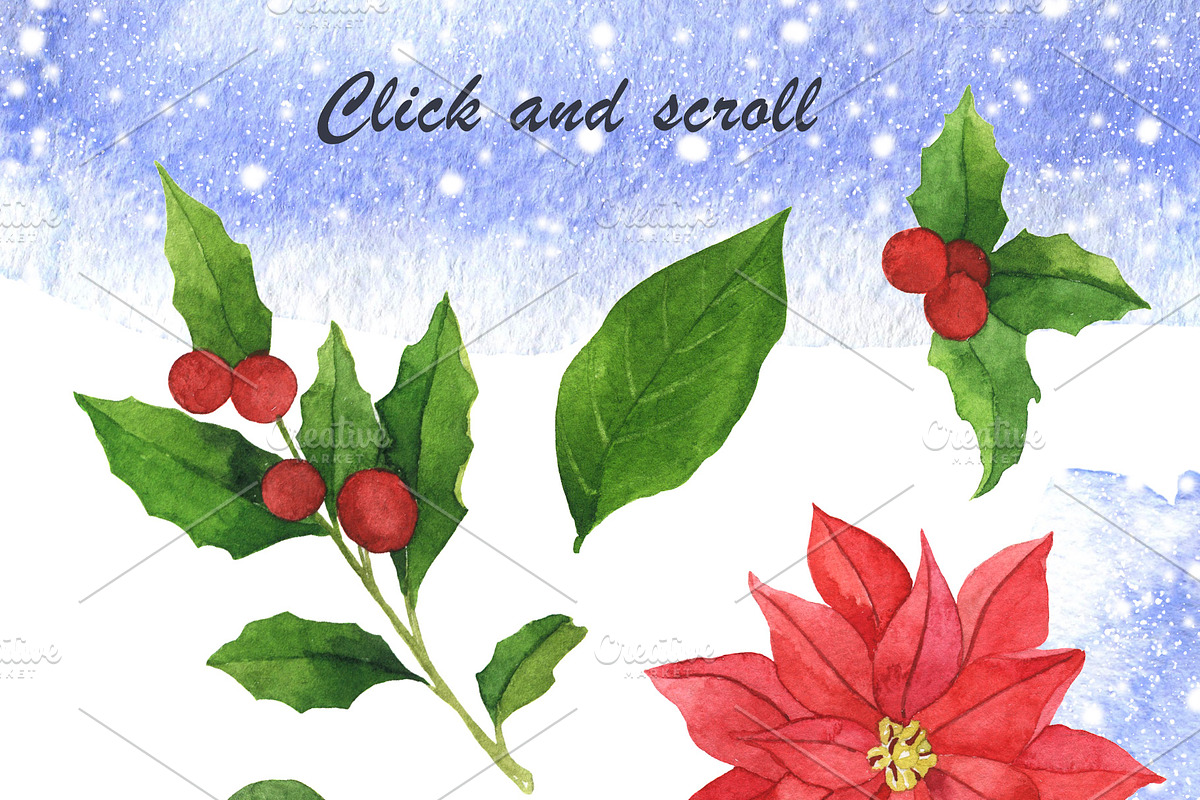 Christmas plant collection, an Illustration by Watercolor & sketches (Photo 4 of 9)