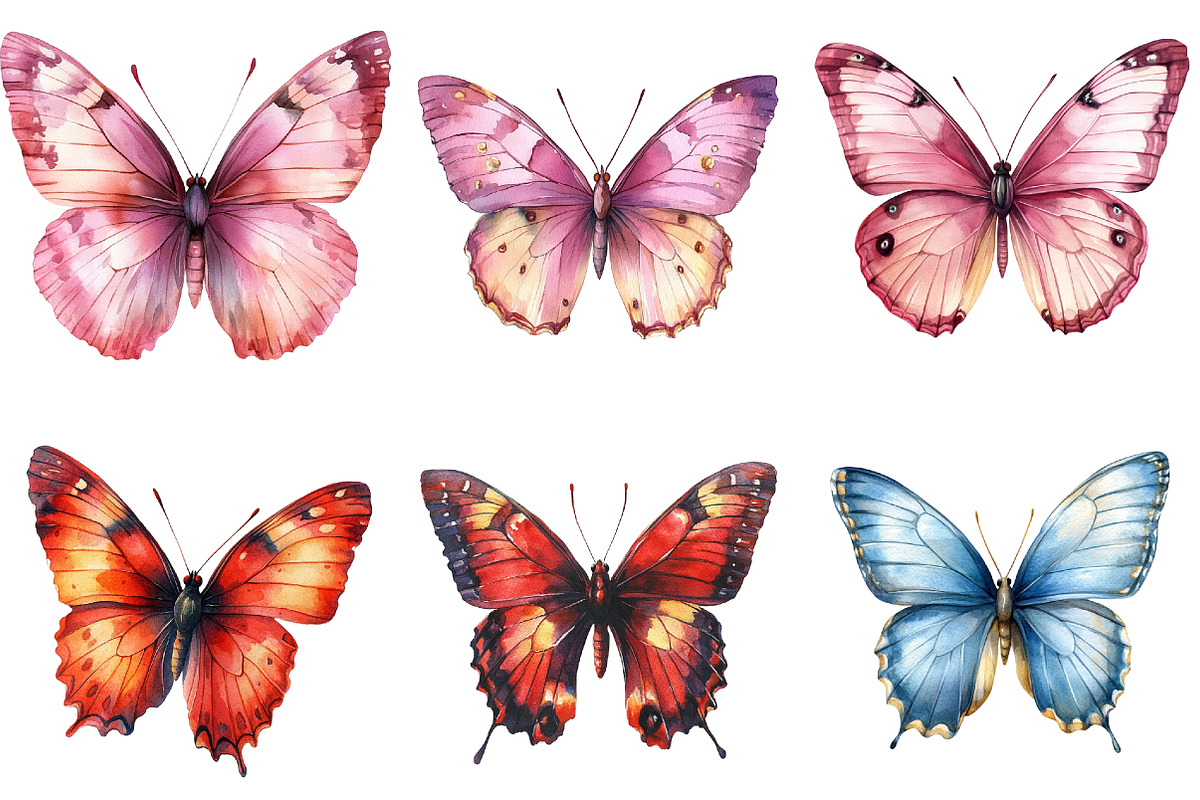 Watercolor Butterfly Clipart Png, an Illustration by cherrydesign (Photo 2 of 4)