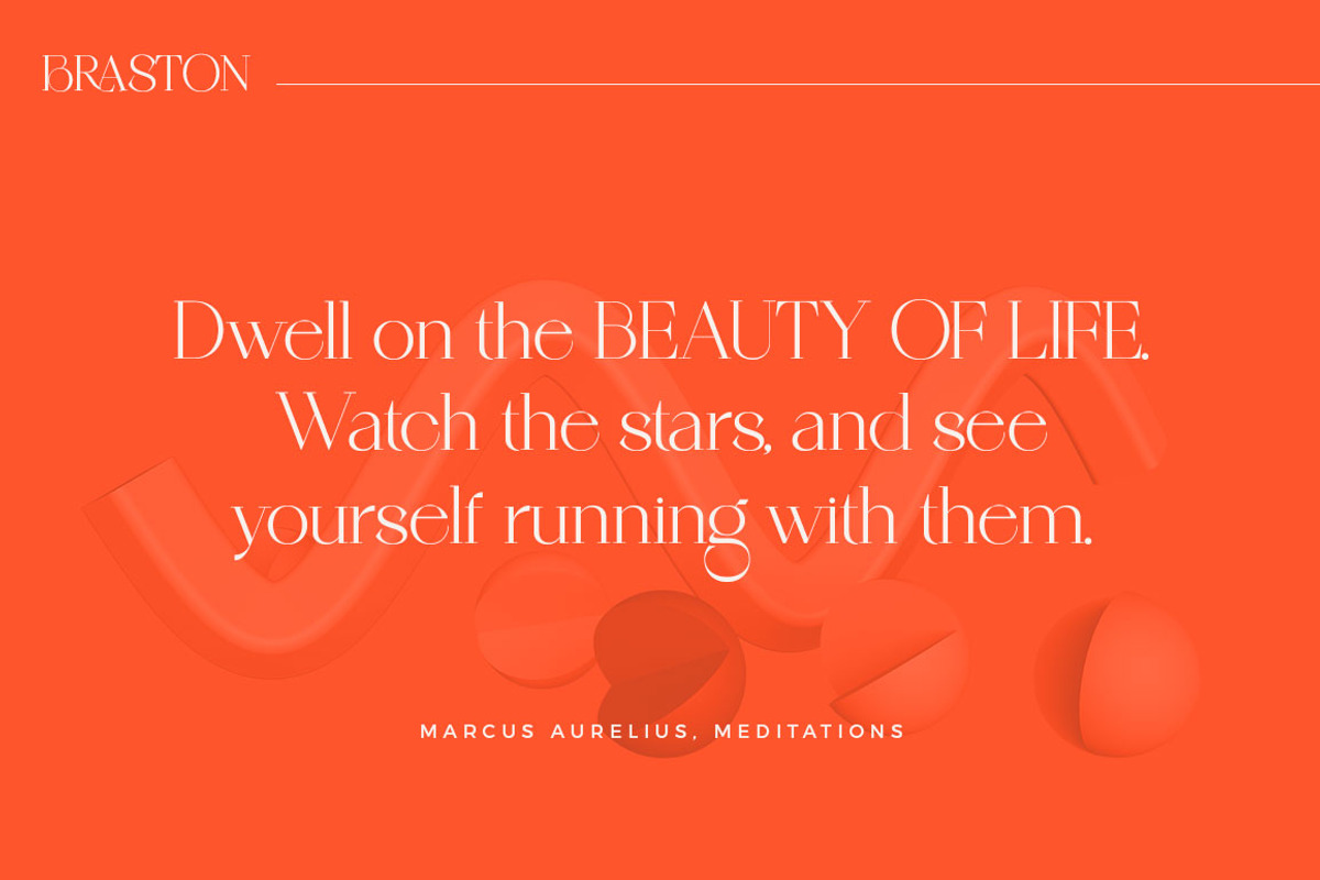 Braston - Elegant Serif Font, a Serif Font by Dora Typefoundry (Photo 19 of 20)