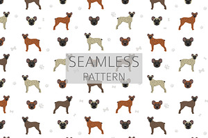 Saint Miguel Cattle Dog Clipart