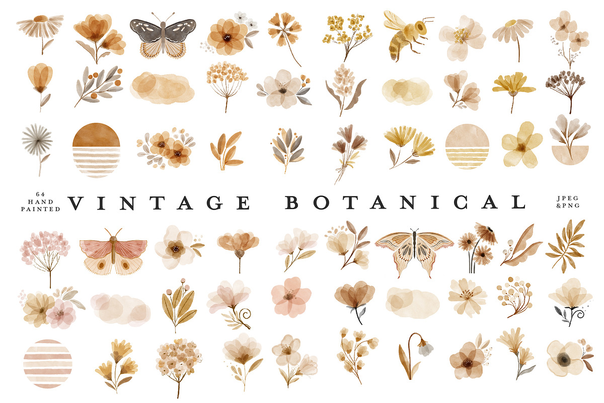 Watercolor Vintage Botanical Clipart, an Illustration by beatriceviyiwi (Photo 2 of 6)
