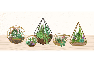 Florarium composition, a Decorative Illustration by Good Studio