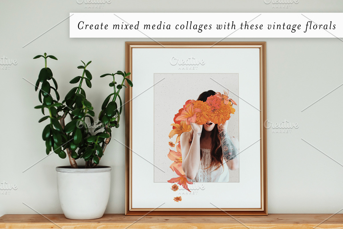 Retro Perennial Vintage Floral PNGs, an Object Graphic by Ashley Alexandra Design (Photo 3 of 9)