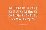Dustwood Bold Serif Typeface, a Serif Font by RT Studio (Thumbnail 11 of 12)