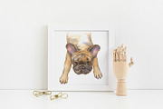 Dogs and Cats portraits, an Object Graphic by ViktoriArt (Thumbnail 7 of 8)