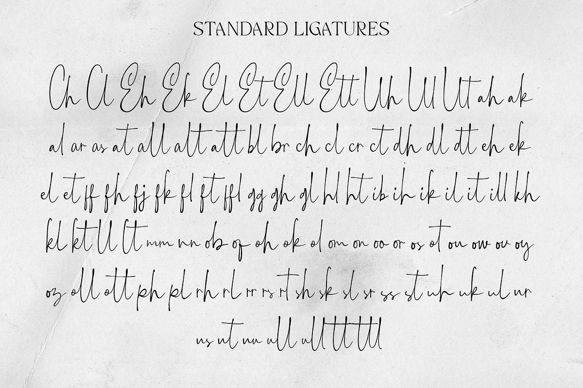 Maltangles - Signature Font, a Font by Haps Space (Photo 9 of 10)