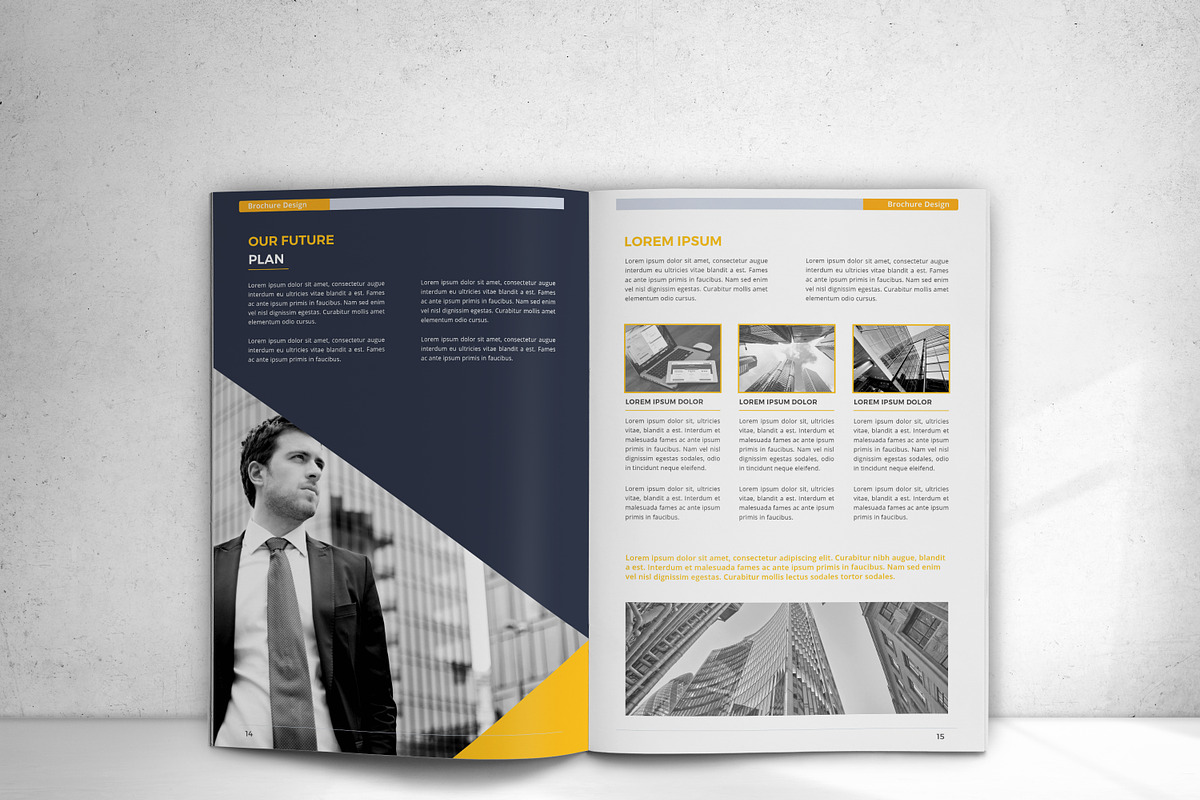 Annual Report, a Brochure Template by design_pick (Photo 12 of 17)