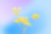 Bold Bloom – Floral Backgrounds, a Background Graphic by StudioMorf (Thumbnail 11 of 14)
