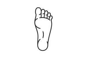 Foot linear icon, an Outline Icon by IMG Visuals