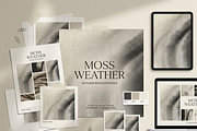 Moss Weather Soft Autumn Backgrounds, a Background Graphic by youtoview (Thumbnail 9 of 11)