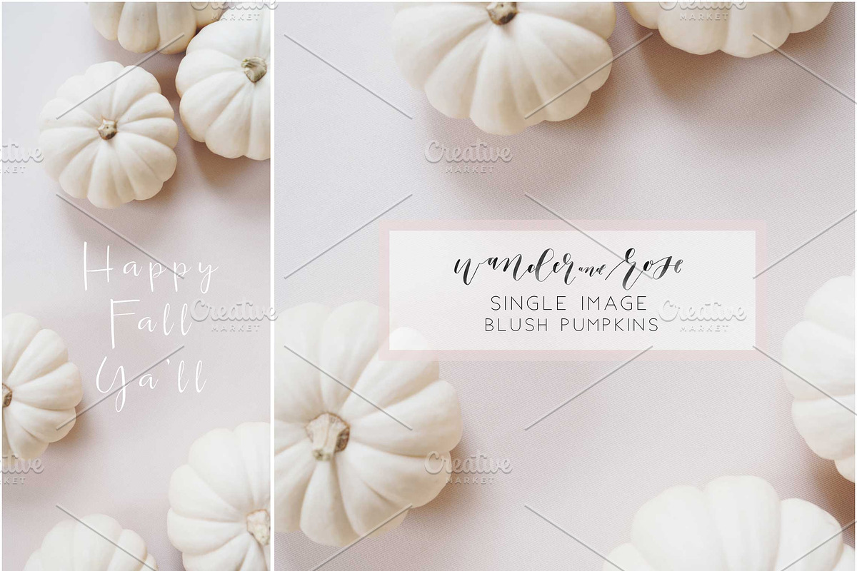 Blush Fall Pumpkins Styled Stock, a Mockup by LaPorte Images (Photo 1 of 3)