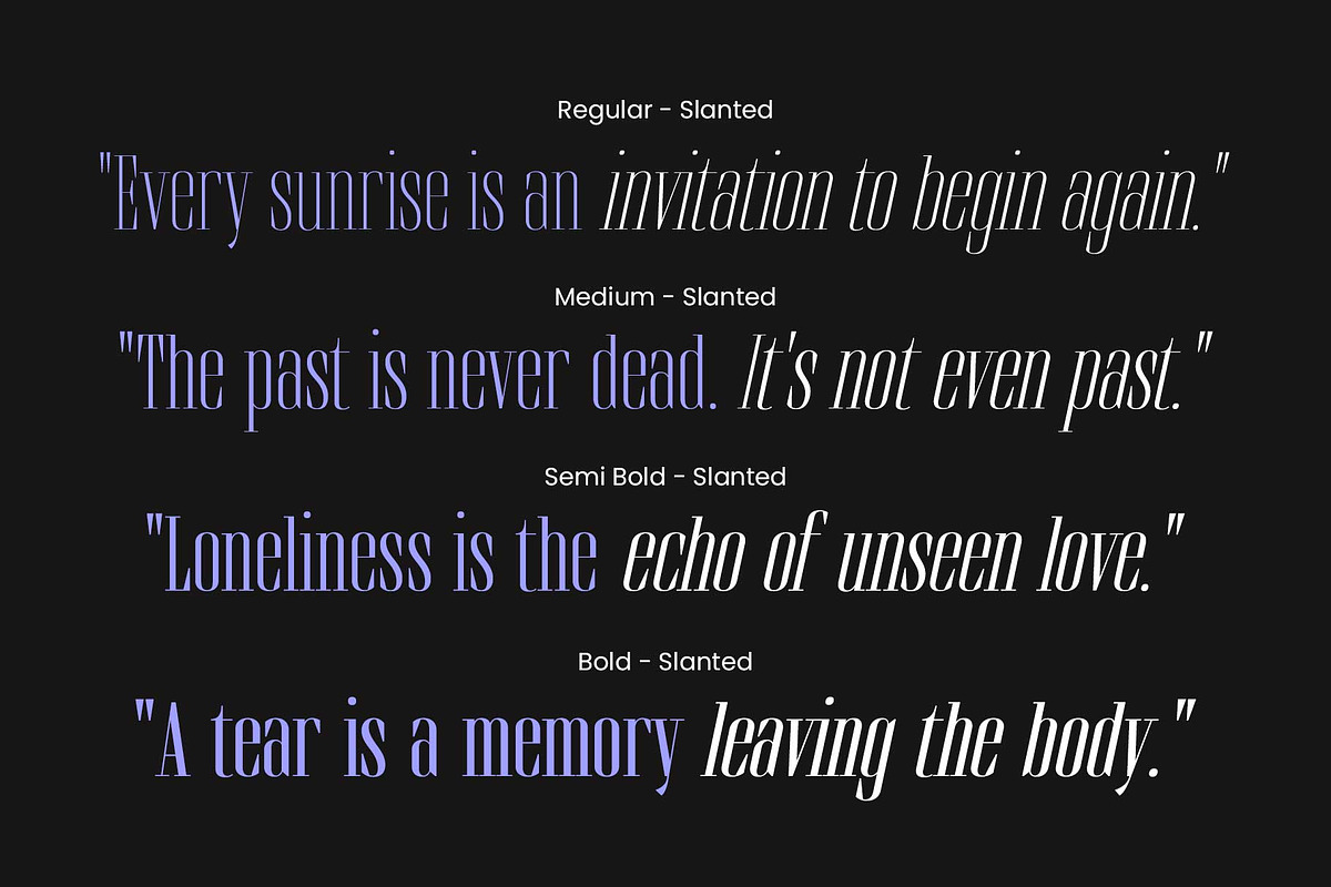 Brozeri - Casual Serif Family, a Serif Font by Arterfak Project (Photo 9 of 14)