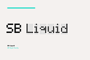 Liquid LCD Pixel font (28 styles), a Font by SelfBuild Type (Thumbnail 2 of 15)