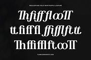 New Shuffle - Modern Serif Family Fo, a Serif Font by Flawless And Co (Thumbnail 9 of 10)