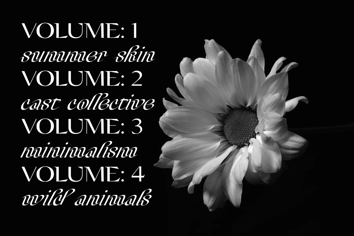 Champagne Cartel Family, a Serif Font by Tropical Type (Photo 16 of 17)