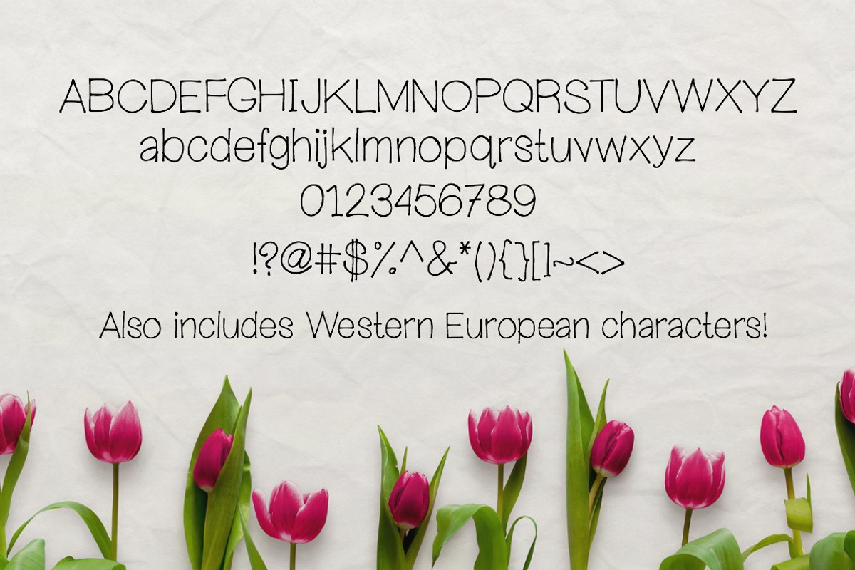 Wandering Heart- Handwritten Font preview 2