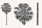 Palm Tree Vector Illustration Bundle, an Illustration by Kusumaillustration (Thumbnail 11 of 15)