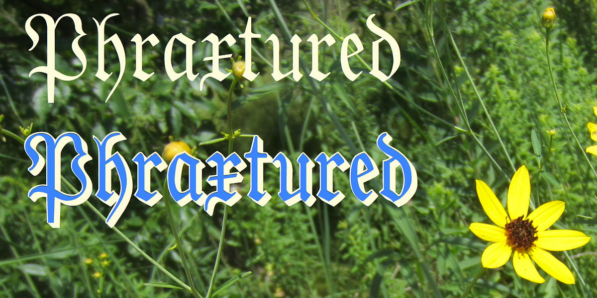 Phraxtured, a Blackletter Font by Ingrimayne Type (Photo 1 of 6)