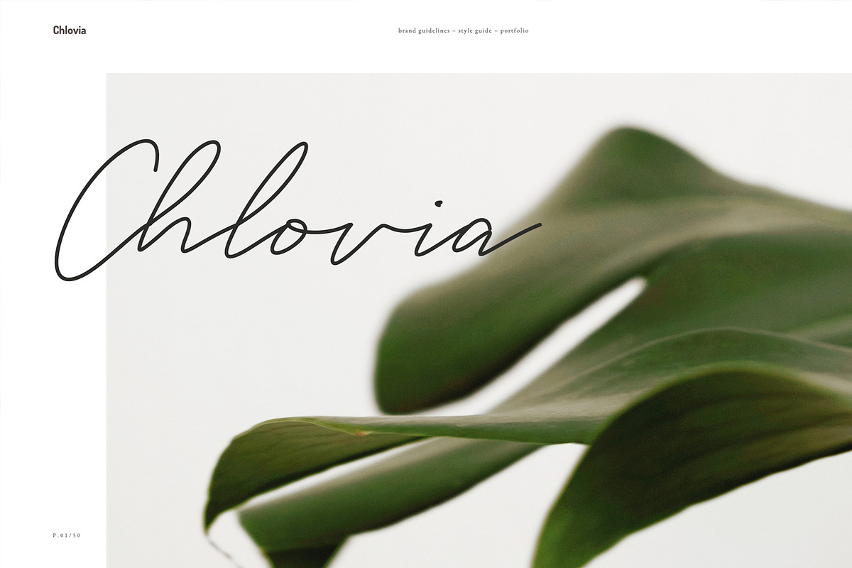 CHLOVIA - Keynote Brand Guidelines, a Presentation Template by Elokka Std. (Photo 2 of 12)