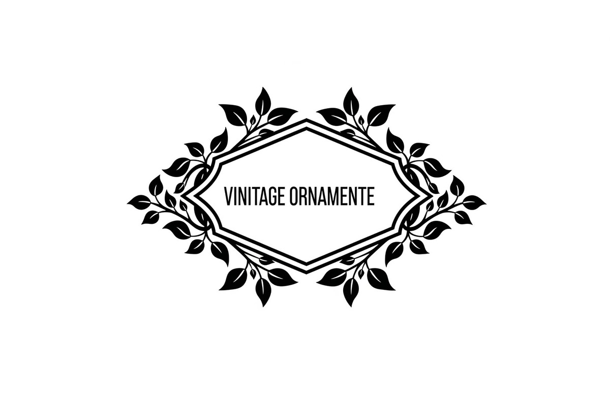 Vintage Baroque Ornament Frames, an Illustration by Designs_River (Photo 25 of 31)