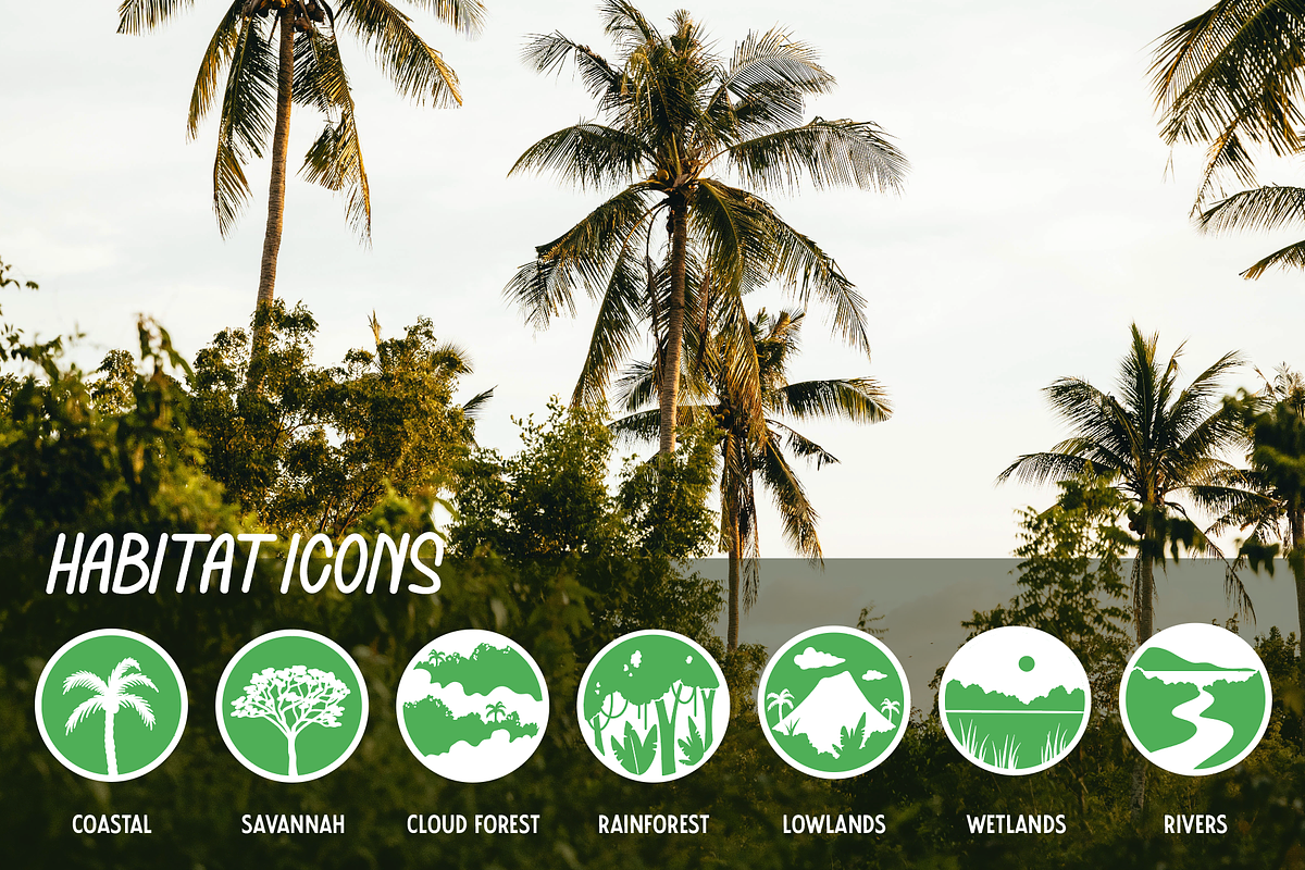 Tropical Wildlife Icons, an Icon by Emma Jacquelyn Design (Photo 5 of 5)