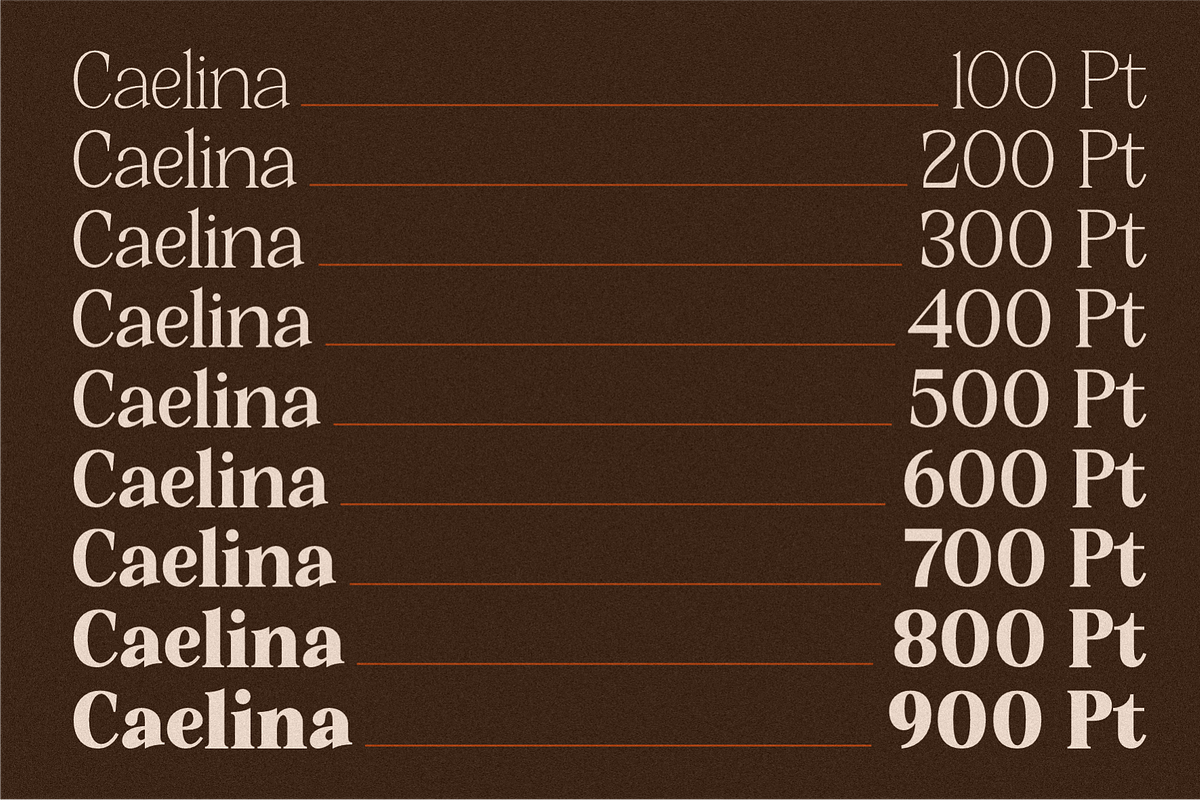 Kirell - Elegant Serif Family, a Serif Font by MaikoHatta (Photo 3 of 9)