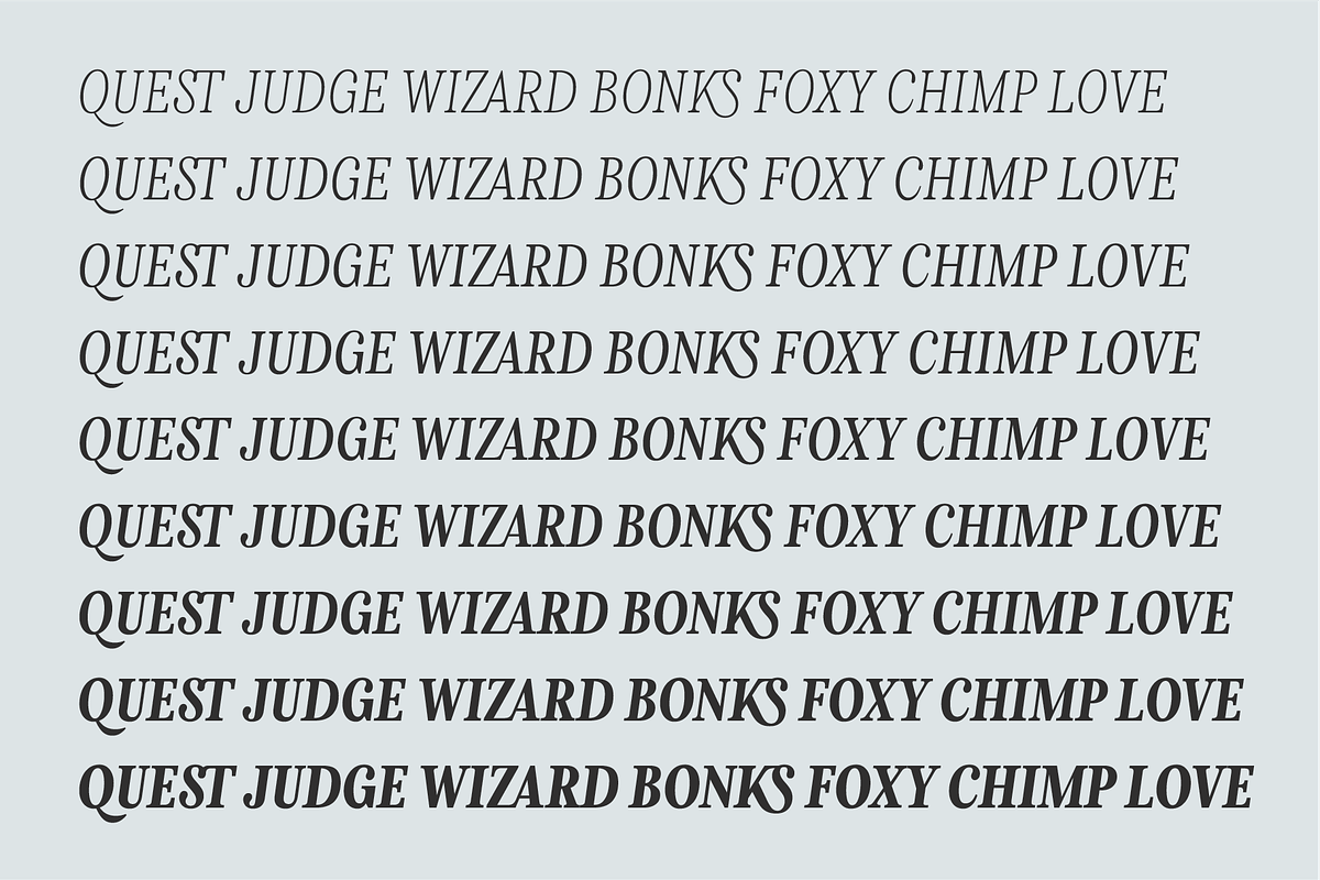 Levino Font Family, a Font by Punch (Photo 7 of 10)