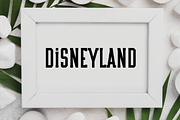 Notebook, a Script Font by FreshTypeINK (Thumbnail 4 of 8)