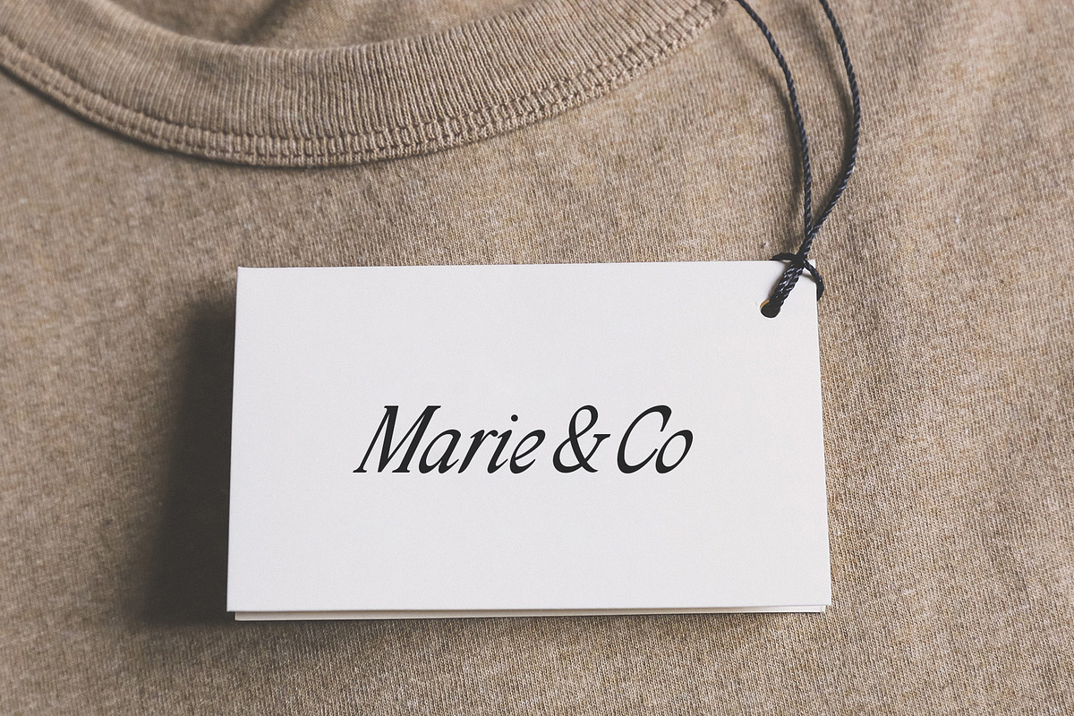 Fabulous Display Italic Font, a Serif Font by Type and Graphics Studio (Photo 11 of 18)