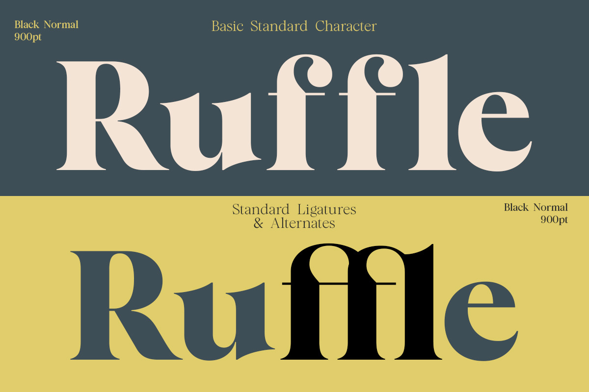 Almero Serif Family, a Serif Font by Zane Studio (Photo 5 of 11)
