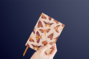 Mystic Moth | Vector collection, a Decorative Illustration by katieromanoff_art (Thumbnail 16 of 22)