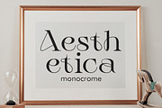 Botanika | Stylish Serif, a Serif Font by Muntab_Art (Thumbnail 3 of 11)