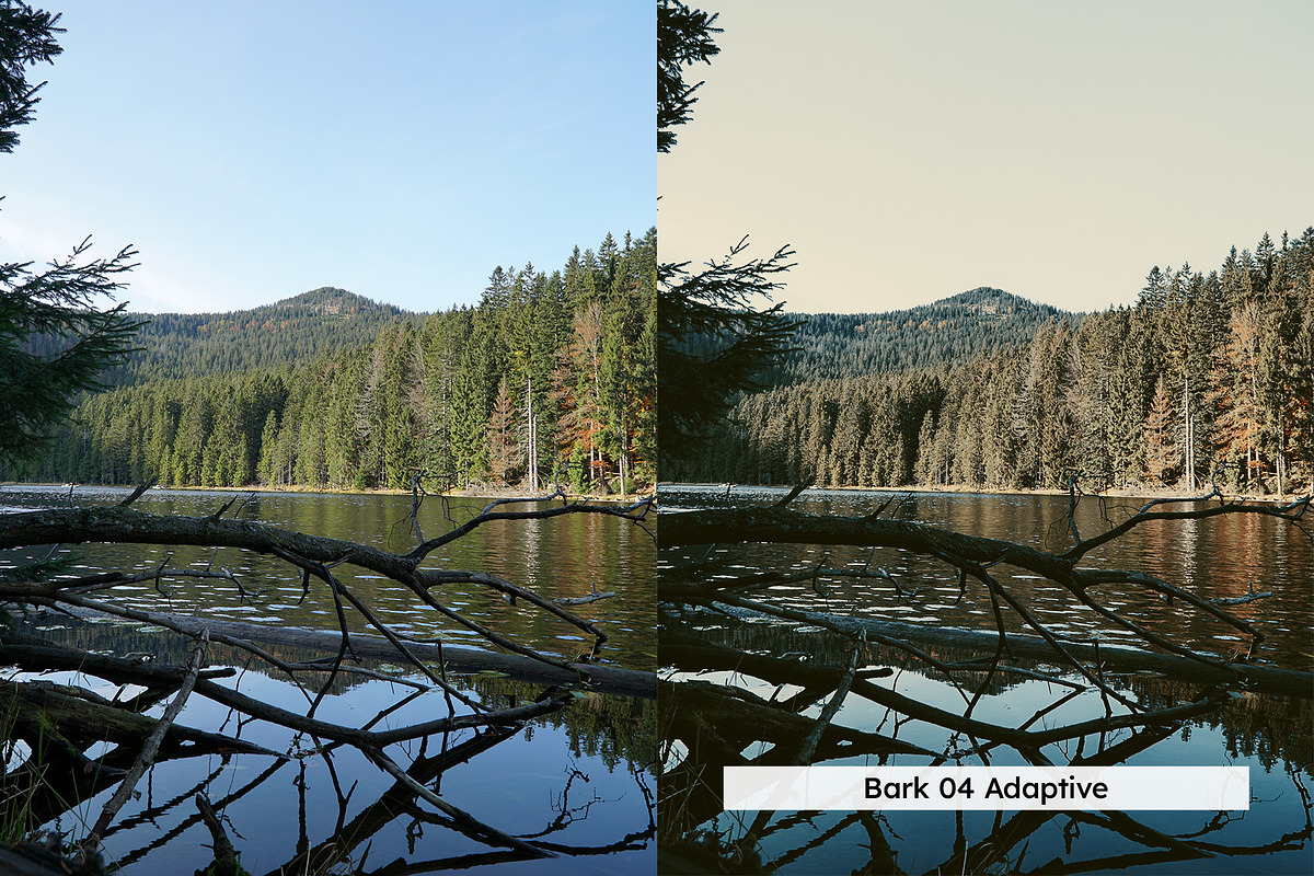 20 Vintage Nature Lightroom Presets, a Preset Add-On by SparkleStock (Photo 10 of 17)