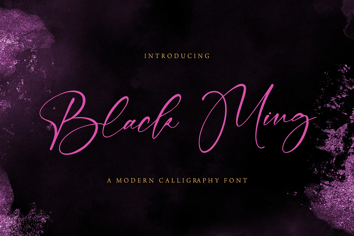 Black Ming - Calligraphy Font, a Script Font by StringLabs (Photo 1 of 10)