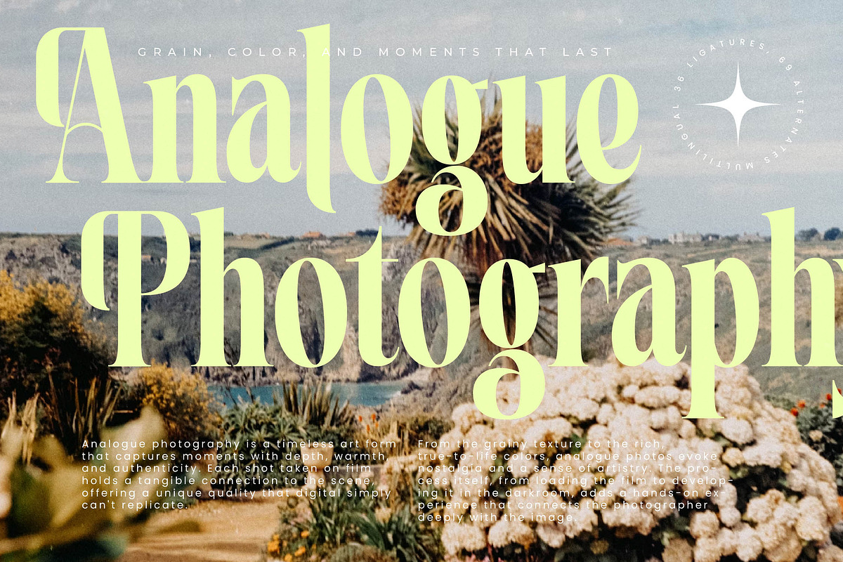 Magiction Modern Serif Display, a Serif Font by timelesstype.co (Photo 14 of 20)