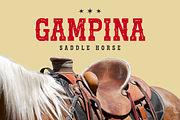 Cowboy Outlaw - Western Font, a Serif Font by Sronstudio (Thumbnail 10 of 15)