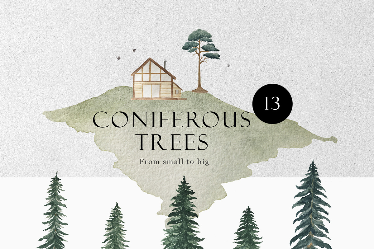 Shed in a Woods, an Illustration by Letters-Shmetters (Photo 3 of 8)