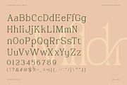 Mildrain, a Serif Font by din-studio.com (Thumbnail 6 of 10)