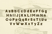 Romeo Press - Font, a Sans Serif Font by David is Creative (Thumbnail 3 of 8)