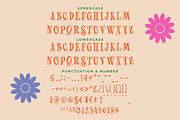The Wickyfest | A Playful Serif Font, a Serif Font by Colllab Studio (Thumbnail 16 of 17)