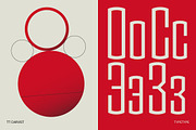 TT Carvist, a Sans Serif Font by TypeType (Thumbnail 14 of 15)