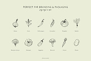 VEGETABLES line art illustrations, a Food Illustration by Crocus Paperi (Thumbnail 3 of 3)