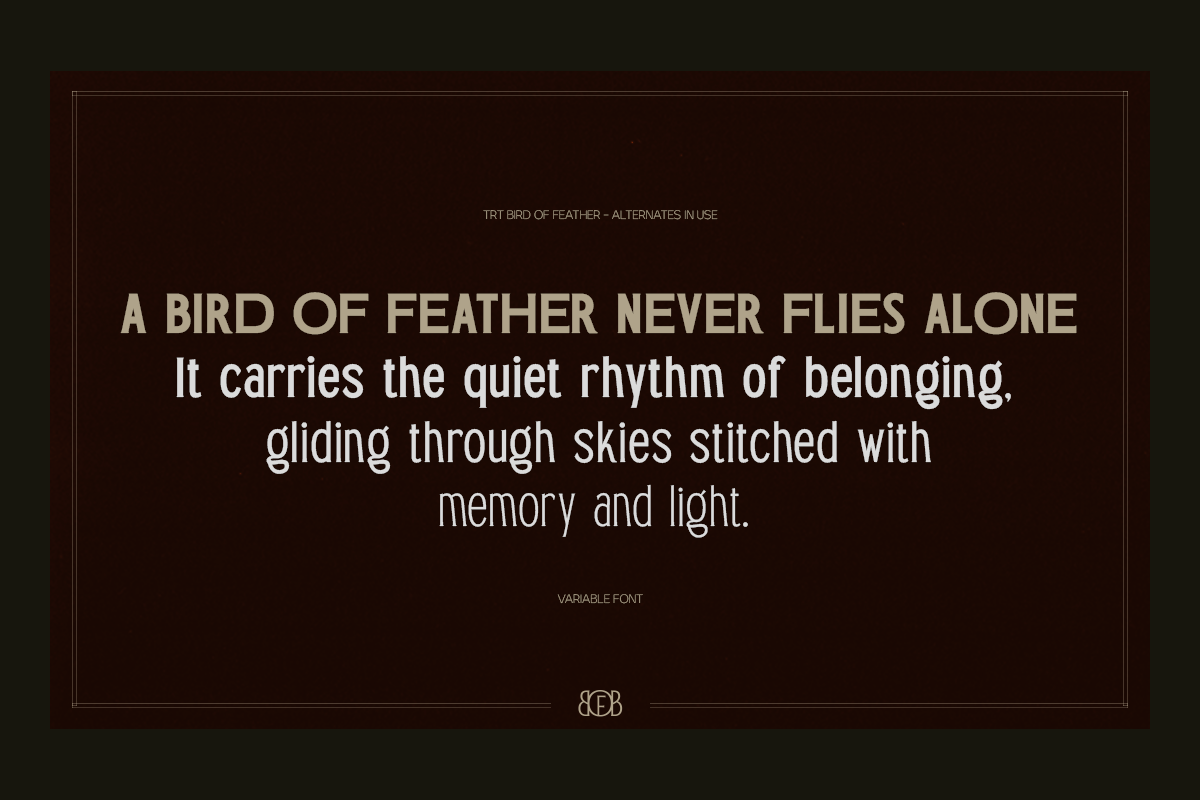 TRT Bird of Feather – Elegant Serif, a Font by truetype (Photo 5 of 15)